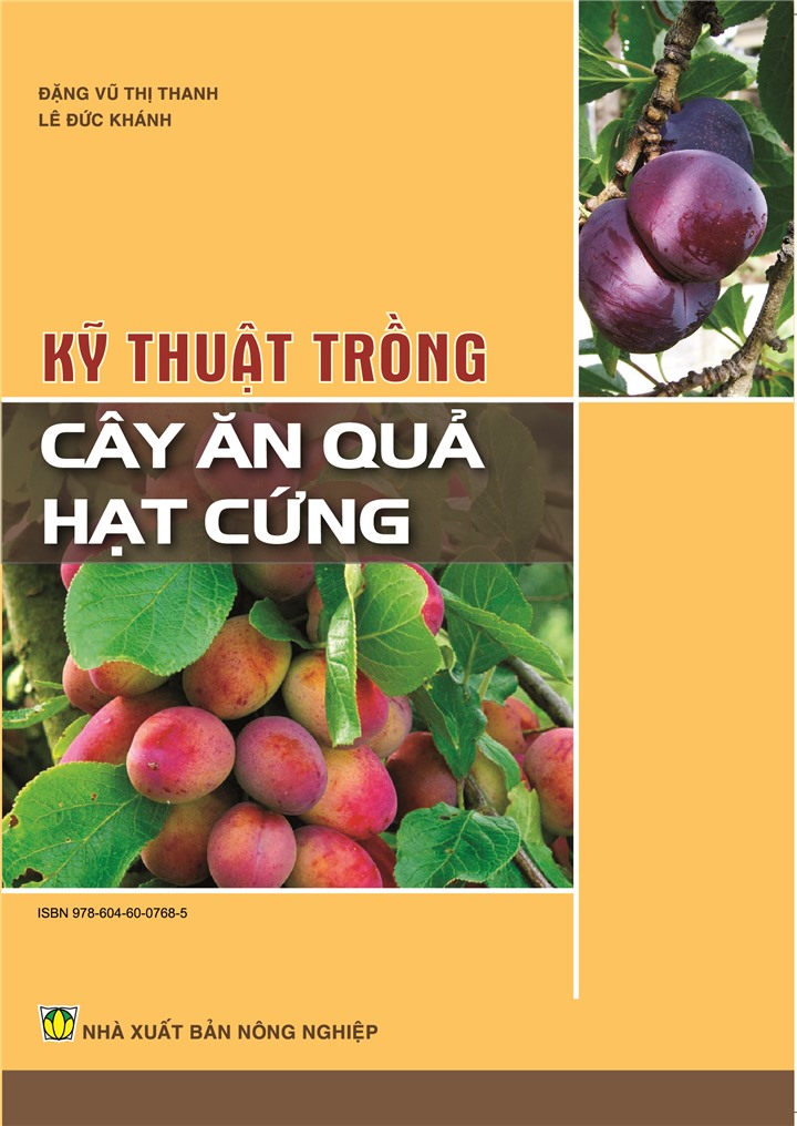 Kỹ thuật trồng cây ăn quả